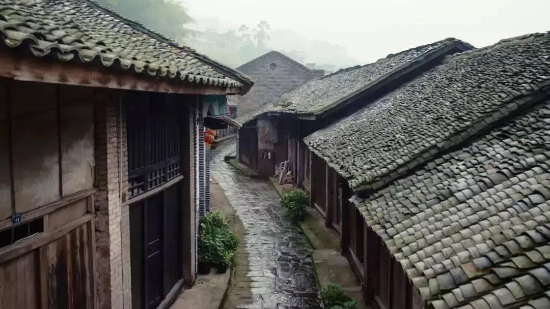 haha体育平台在线